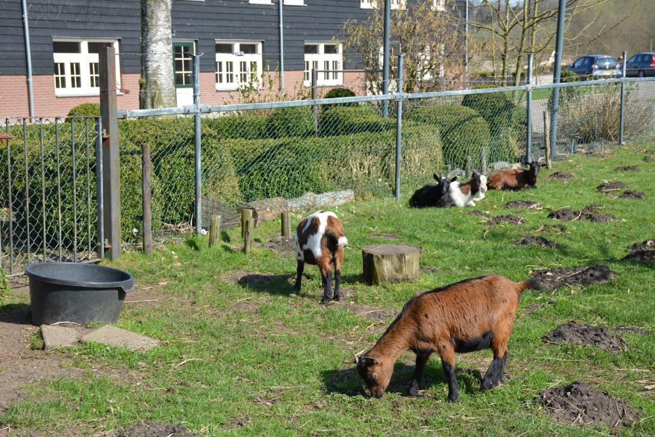 Heeze De Rulse Hoeve מראה חיצוני תמונה